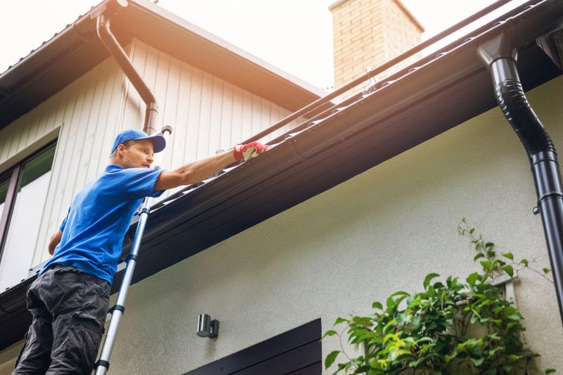 Gutter Inspection and Cleaning